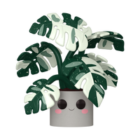 POP Jumbo: Flora- Monstera