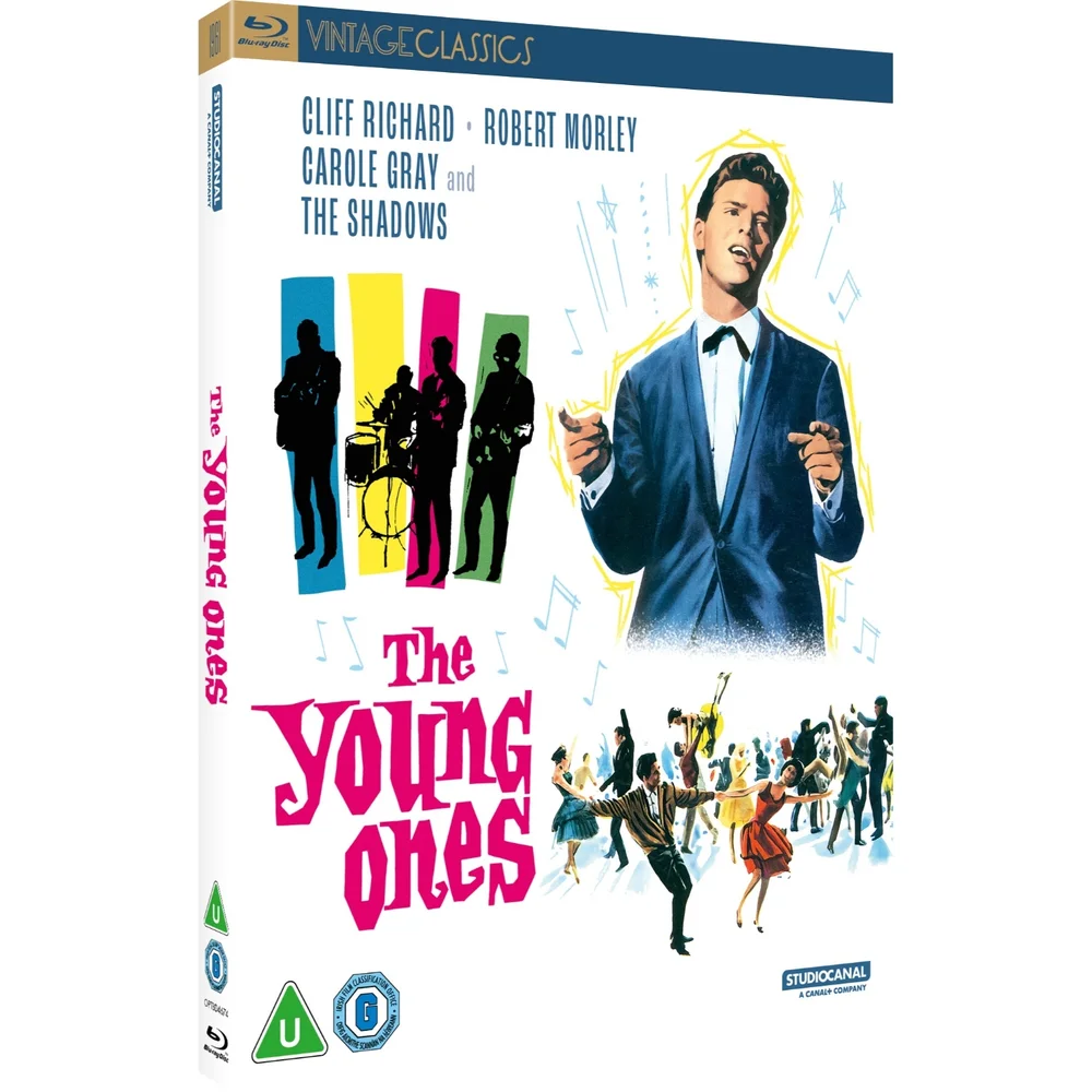 YOUNG ONES (VINTAGE CLASSICS) Image 1