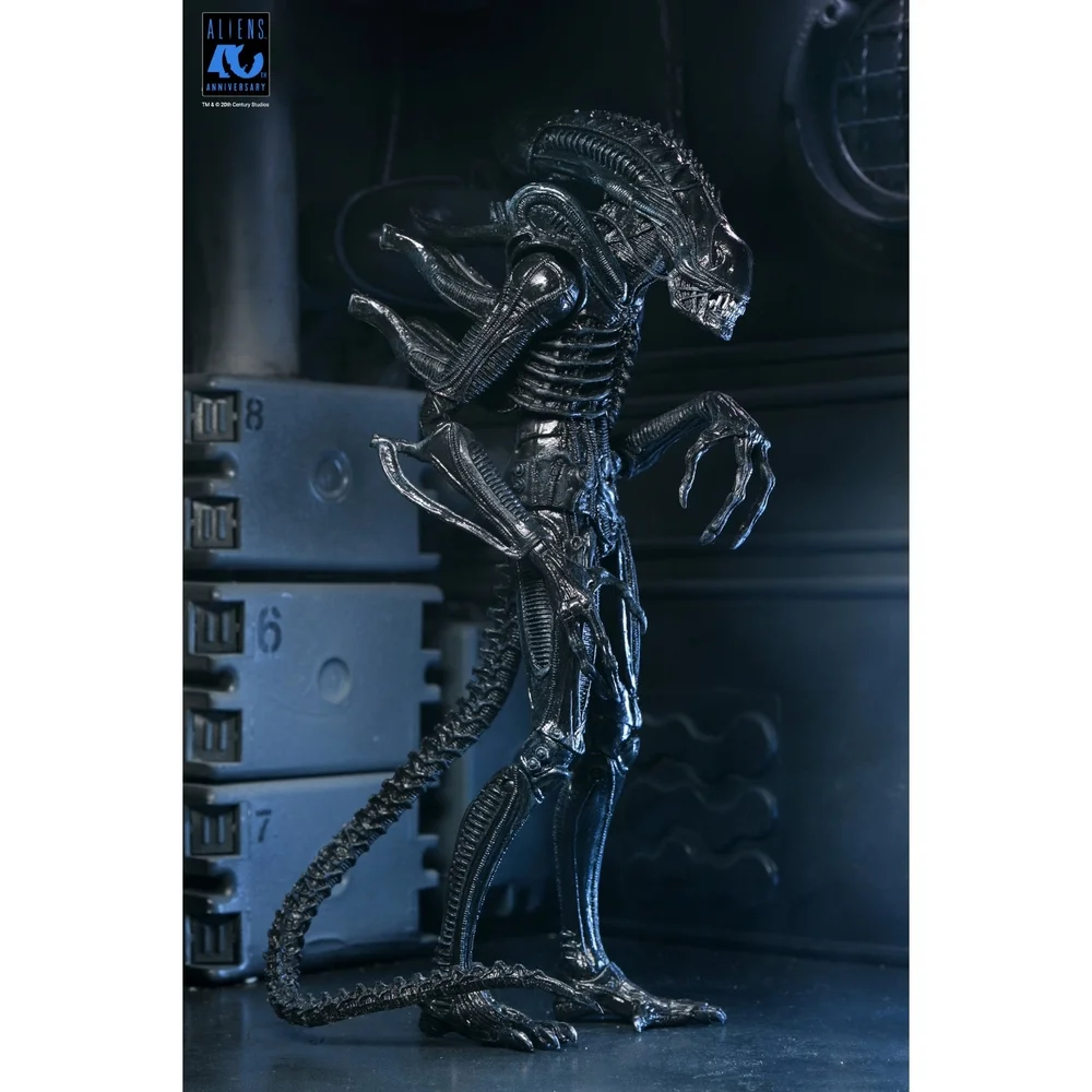 ALIENS (1986) 40TH ANNIVERSARY WARRIOR XENOMORPH (BLACK) ULTIMATE 7 INCH SCALE ACTION FIGURE - NECA Image 1
