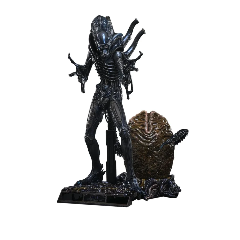 Hot Toys 1/6 Alien Warrior Deluxe Version - Aliens Image 1
