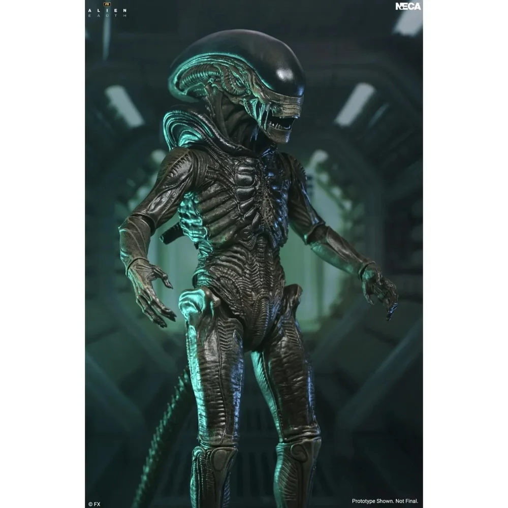 ALIEN: EARTH XENOMORPH ULTIMATE 7 INCH SCALE ACTION FIGURE Image 1