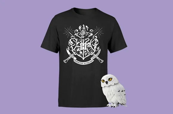 LOT HARRY POTTER