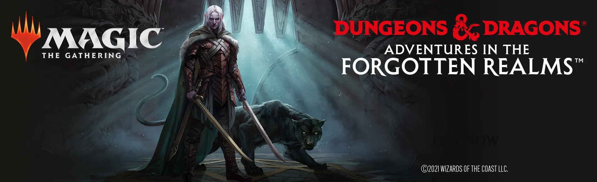 DND & MTG COLLECTION BANNERS